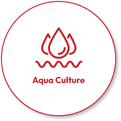 Aquaculture