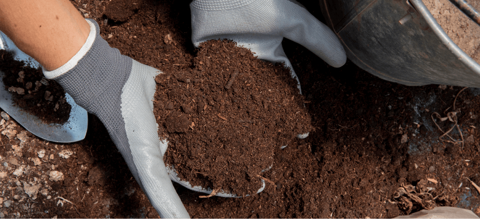 Soil Remediation